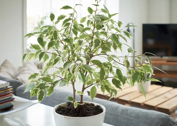 Apartamento Michael's